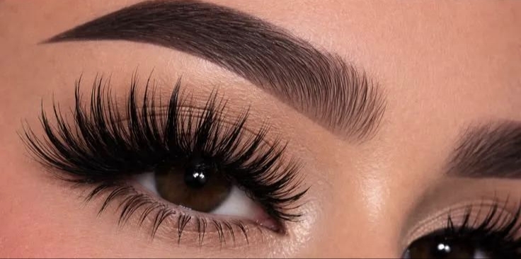 Lash Mega Volume